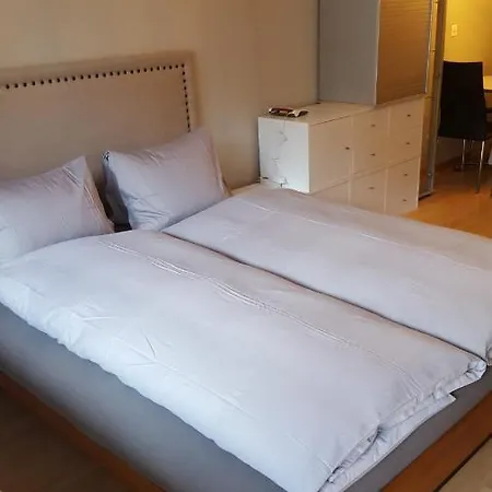 Apartment !!!amazing Location Close To Skilift!!! Zermatt